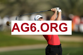 勒沃库森迎战汉堡 · 实时赛事